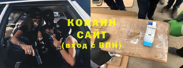 шишки Горняк