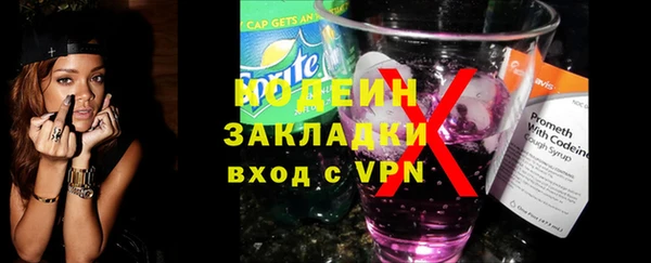 шишки Горняк