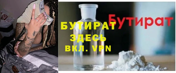 шишки Горняк