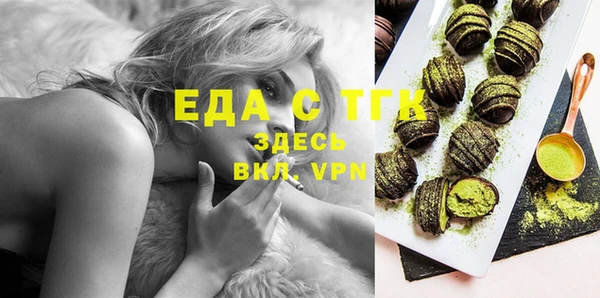 шишки Горняк