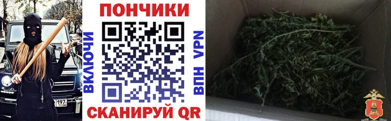 Конопля планчик  Гусиноозёрск 